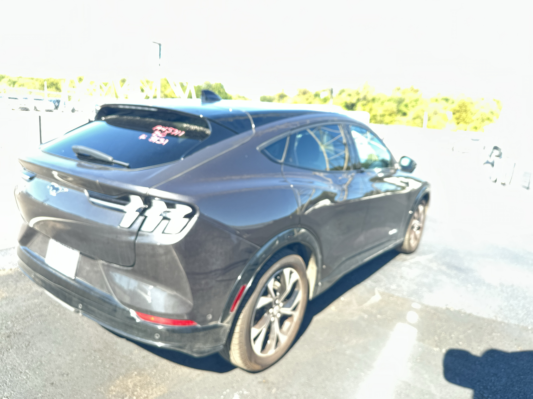 Used 2022 Ford Mustang Mach-E SUV