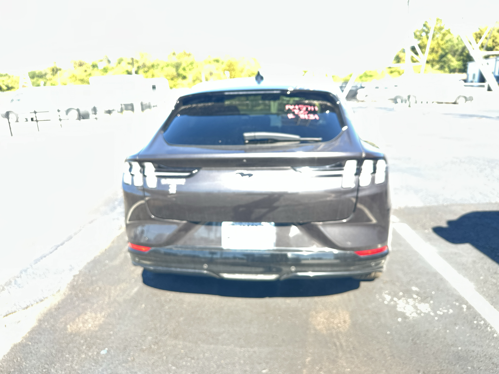 Used 2022 Ford Mustang Mach-E SUV