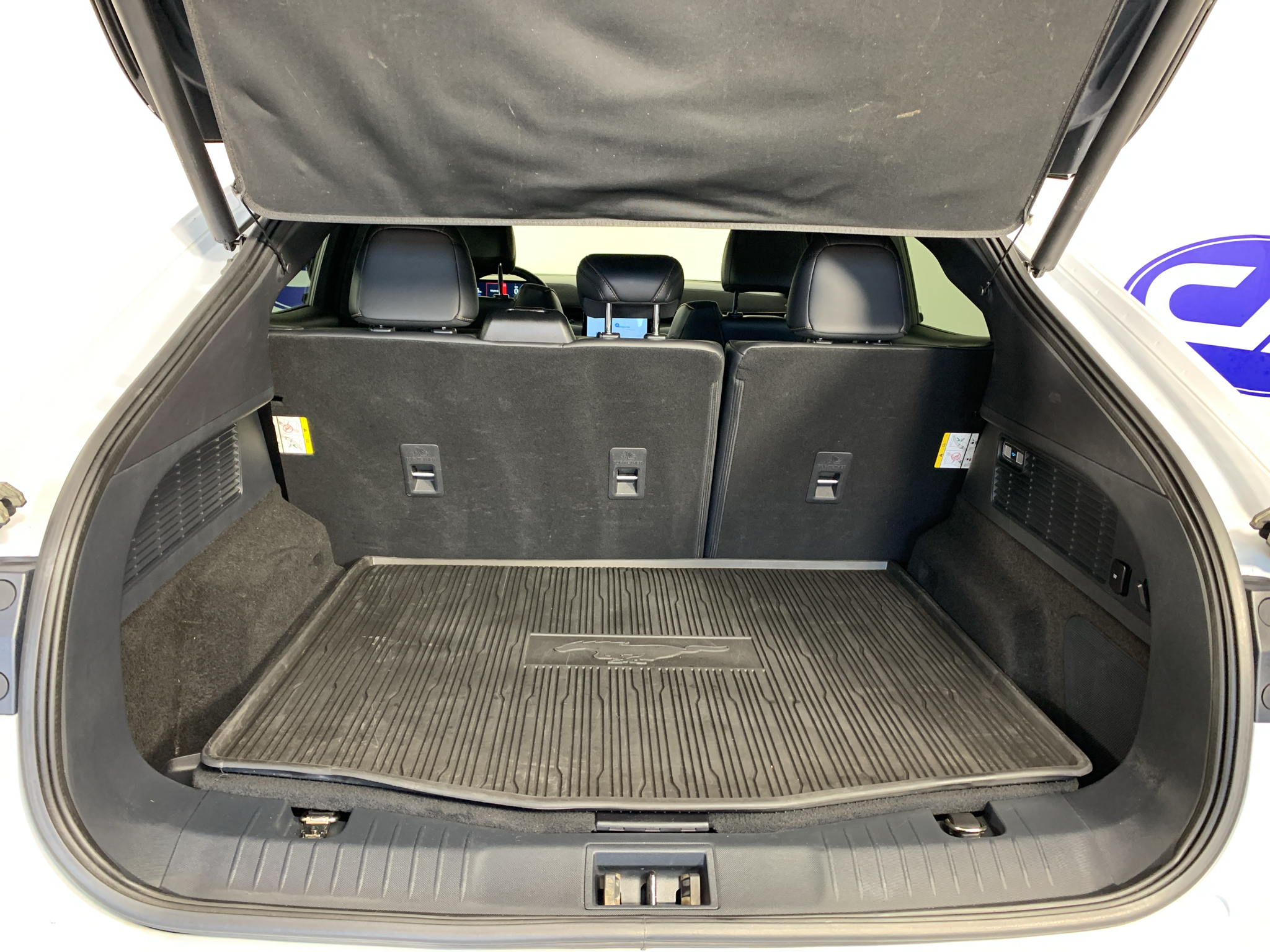Used 2021 Ford Mustang Mach-E SUV