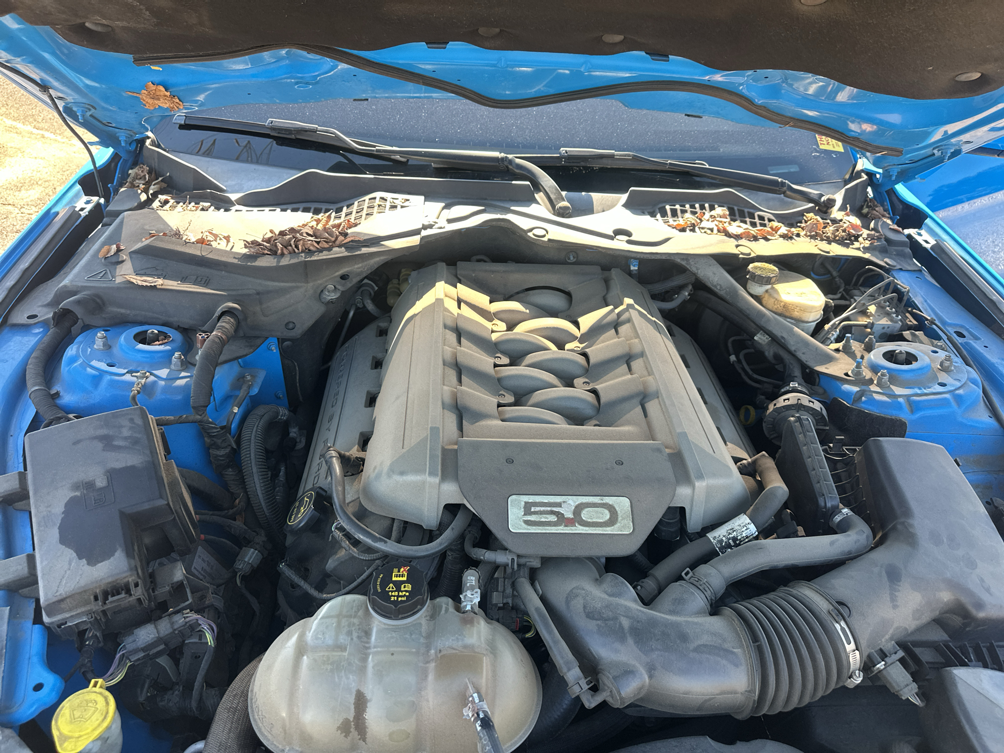 Used 2017 Ford Mustang Coupe