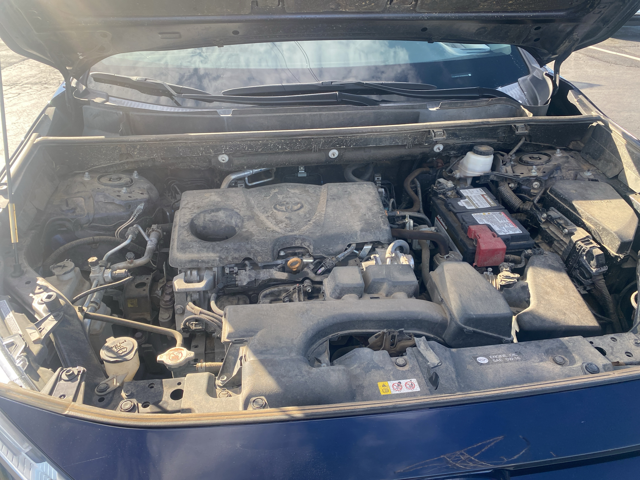 Used 2023 Toyota RAV4 SUV