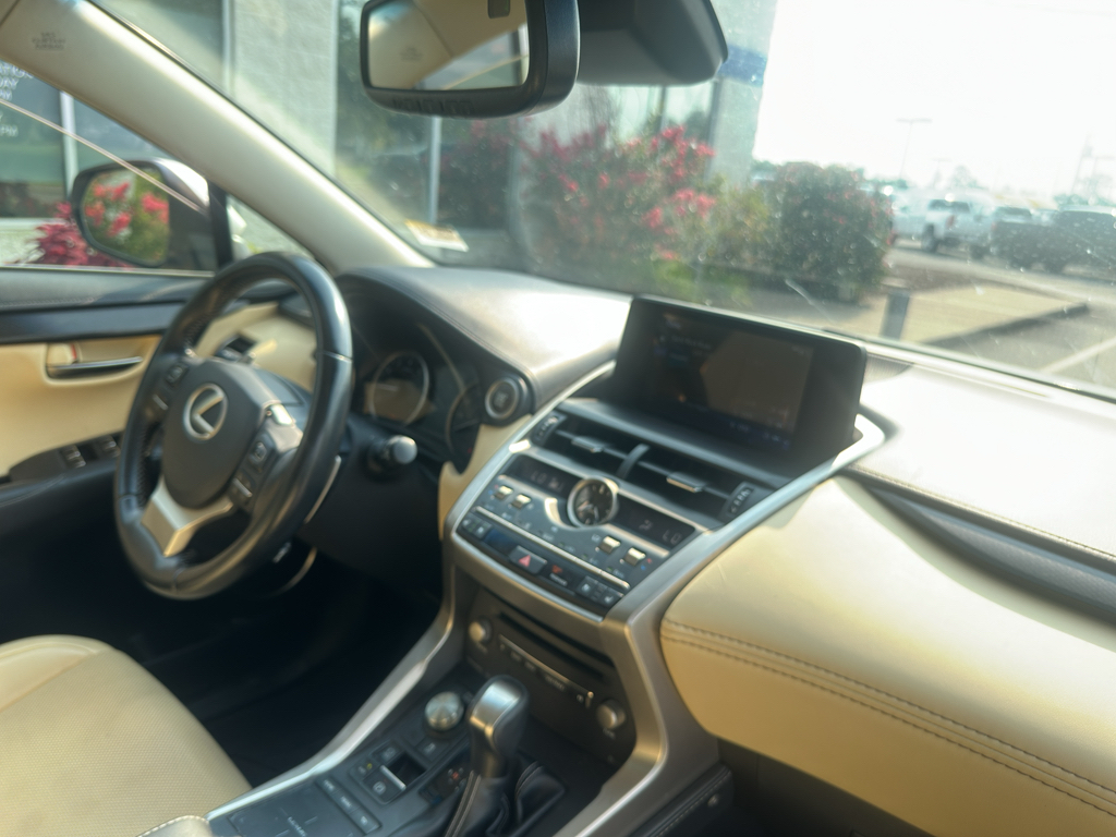 Used 2019 Lexus NX 300 SUV