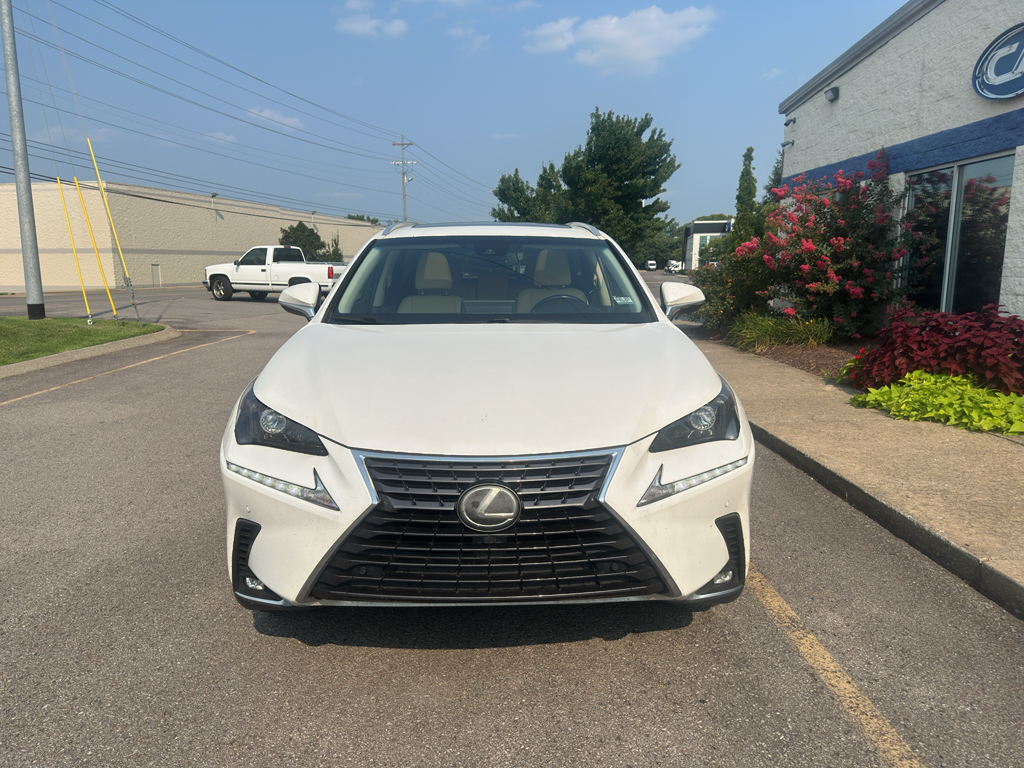 Used 2019 Lexus NX 300 SUV
