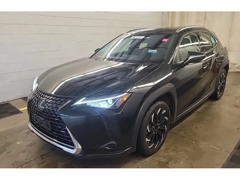 2020 Lexus UX 200's photo