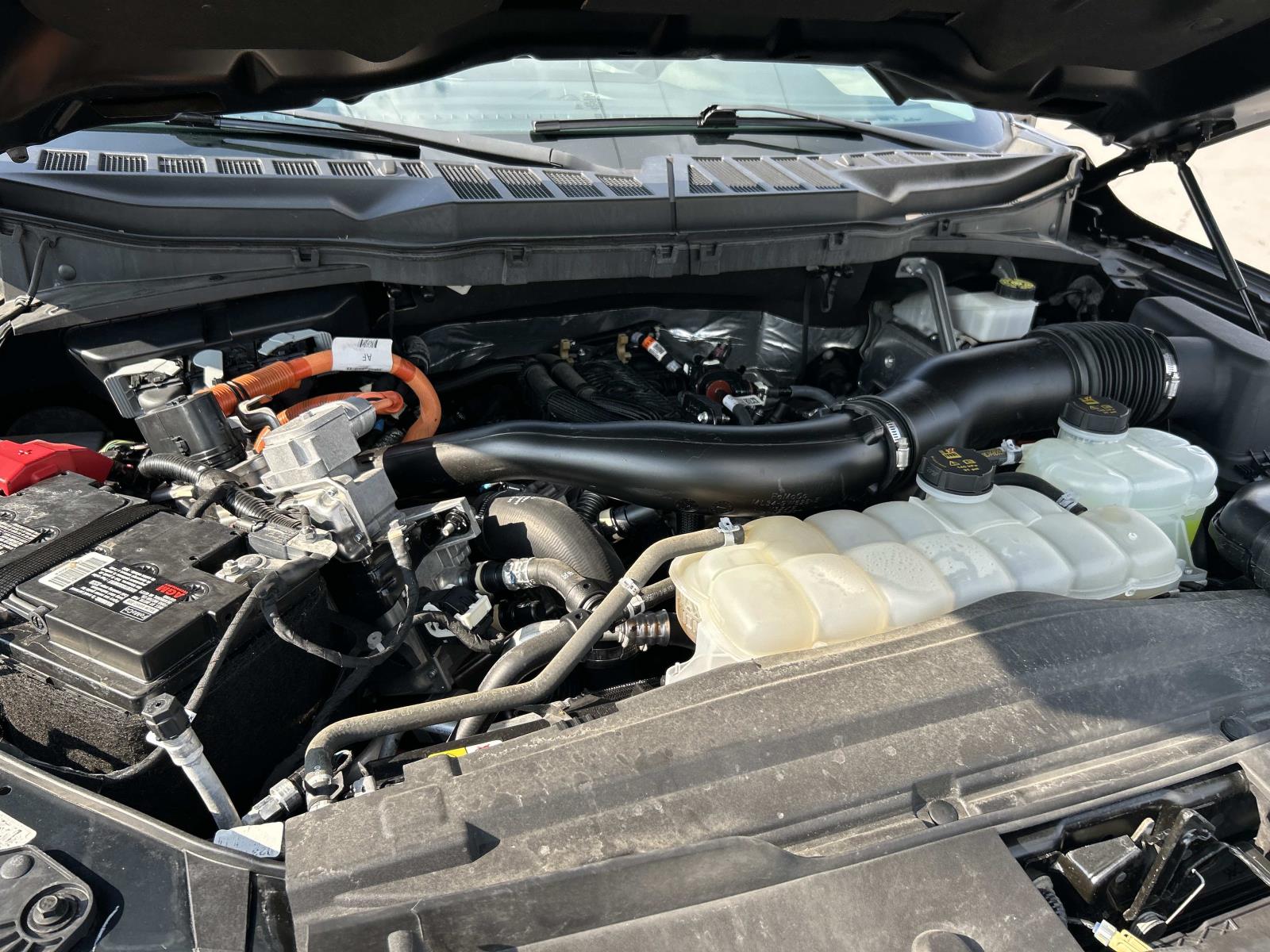 Used 2024 Ford F-150 Truck