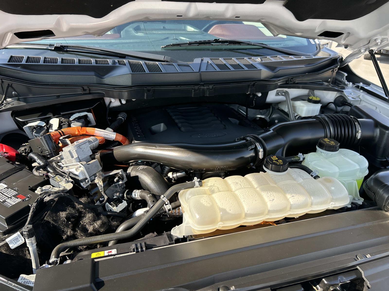 Used 2023 Ford F-150 Truck