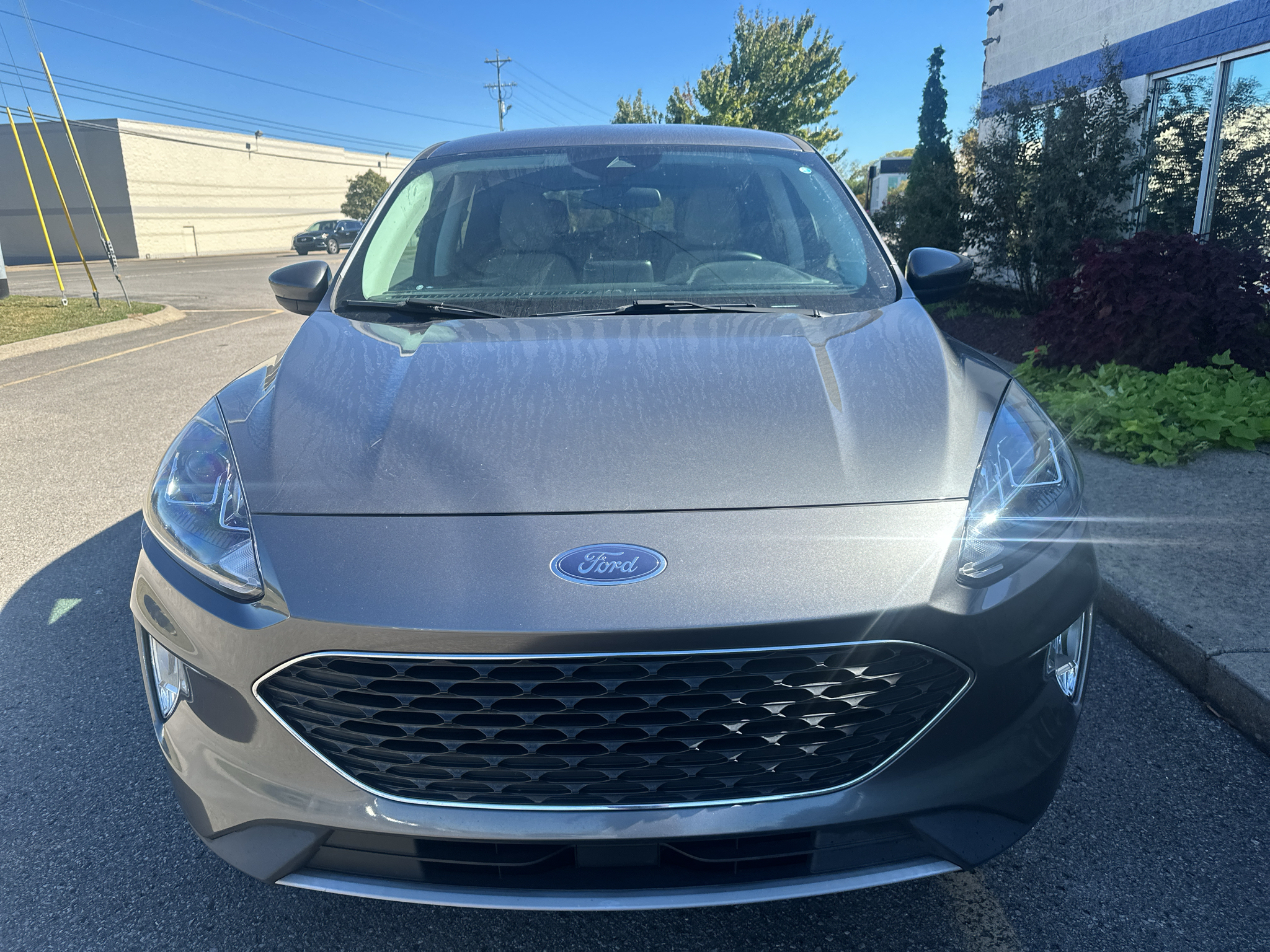 Used 2022 Ford Escape Hybrid SUV
