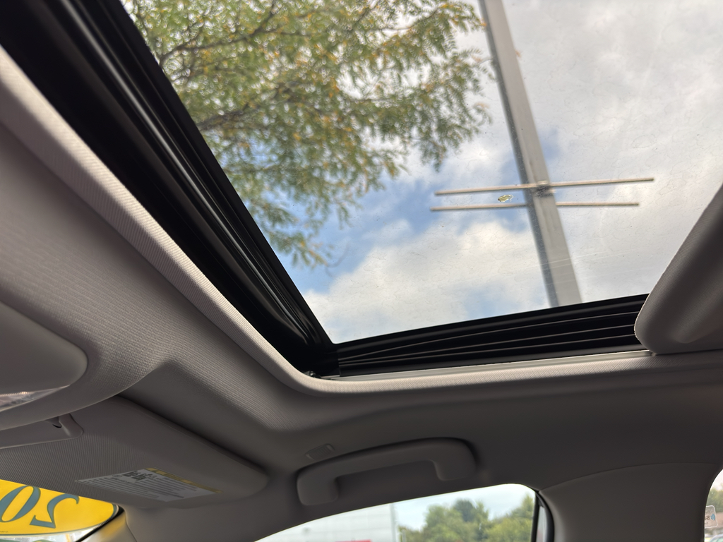 2023 Toyota RAV4 Hybrid XLE Premium photo 7