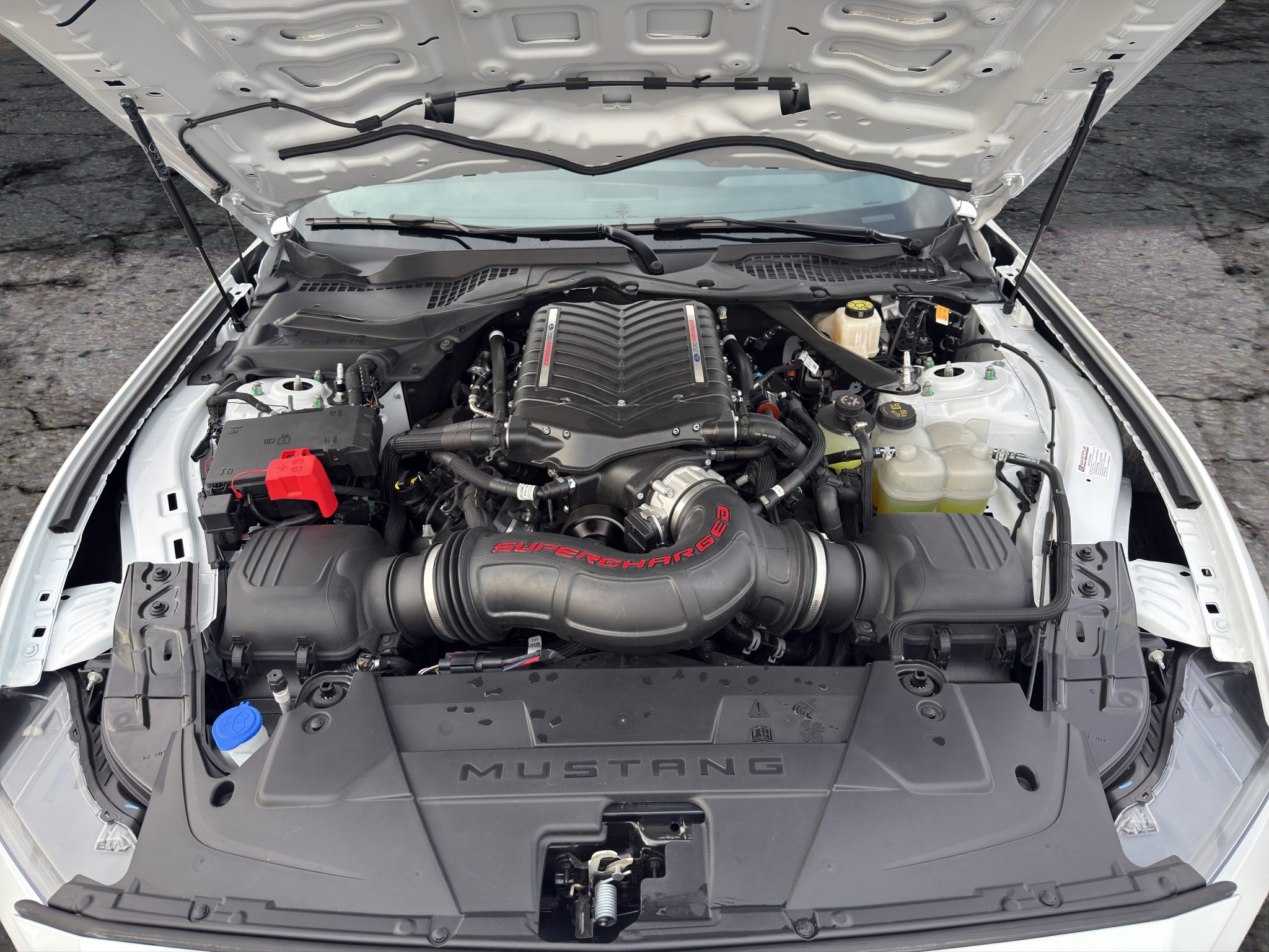 Used 2025 Ford Mustang Coupe