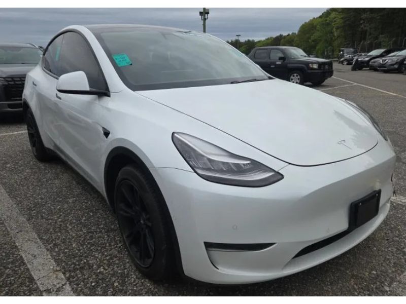 2020 Tesla Model Y Long Range Dual Motor All-Wheel Drive's photo