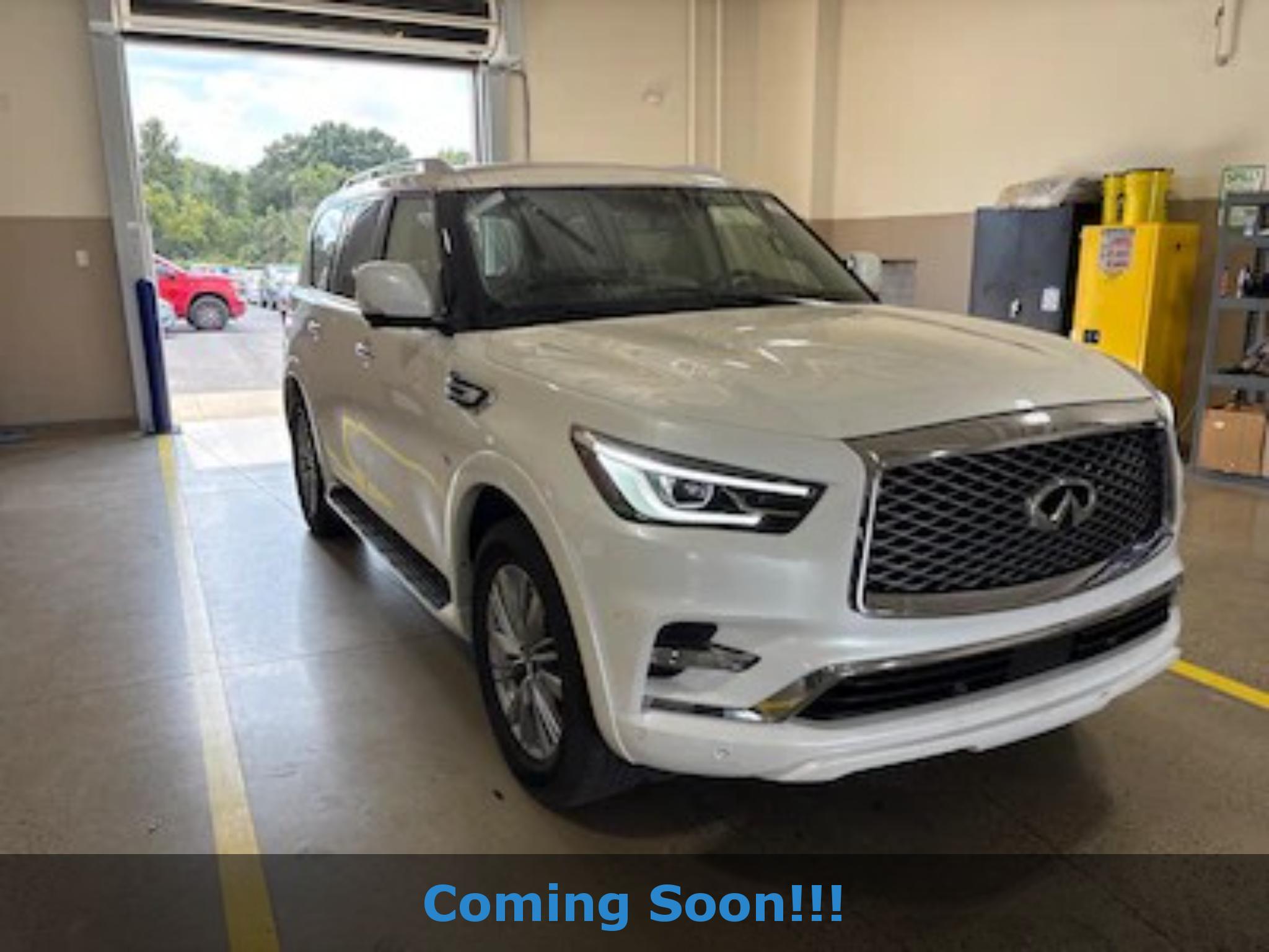 2019 Infiniti QX80 LUXE