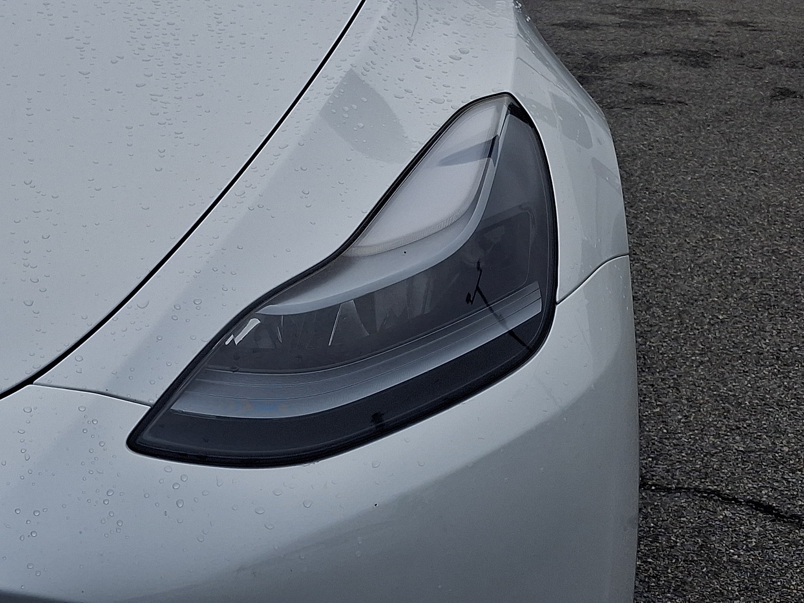 Used 2024 Tesla Model Y SUV