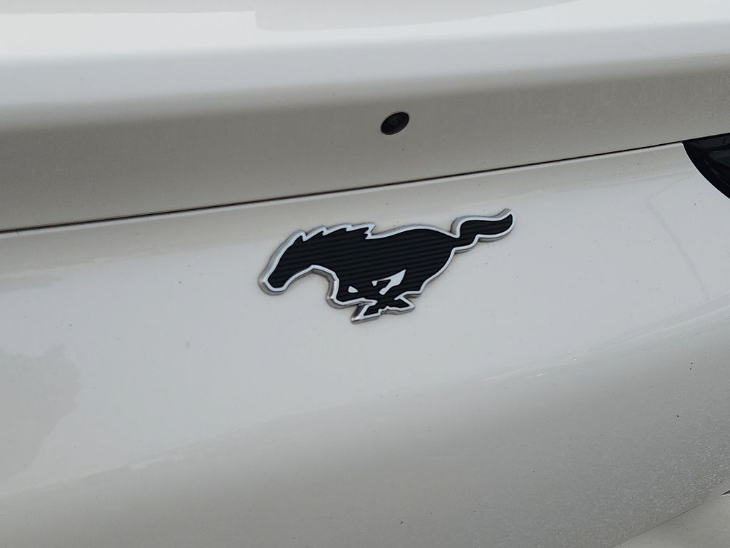 Used 2024 Ford Mustang Mach-E SUV