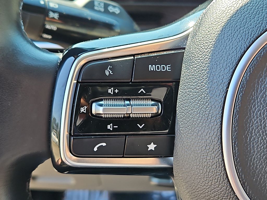 Used 2025 Kia Carnival Van