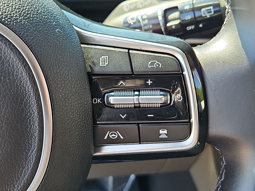 Used 2025 Kia Carnival Van