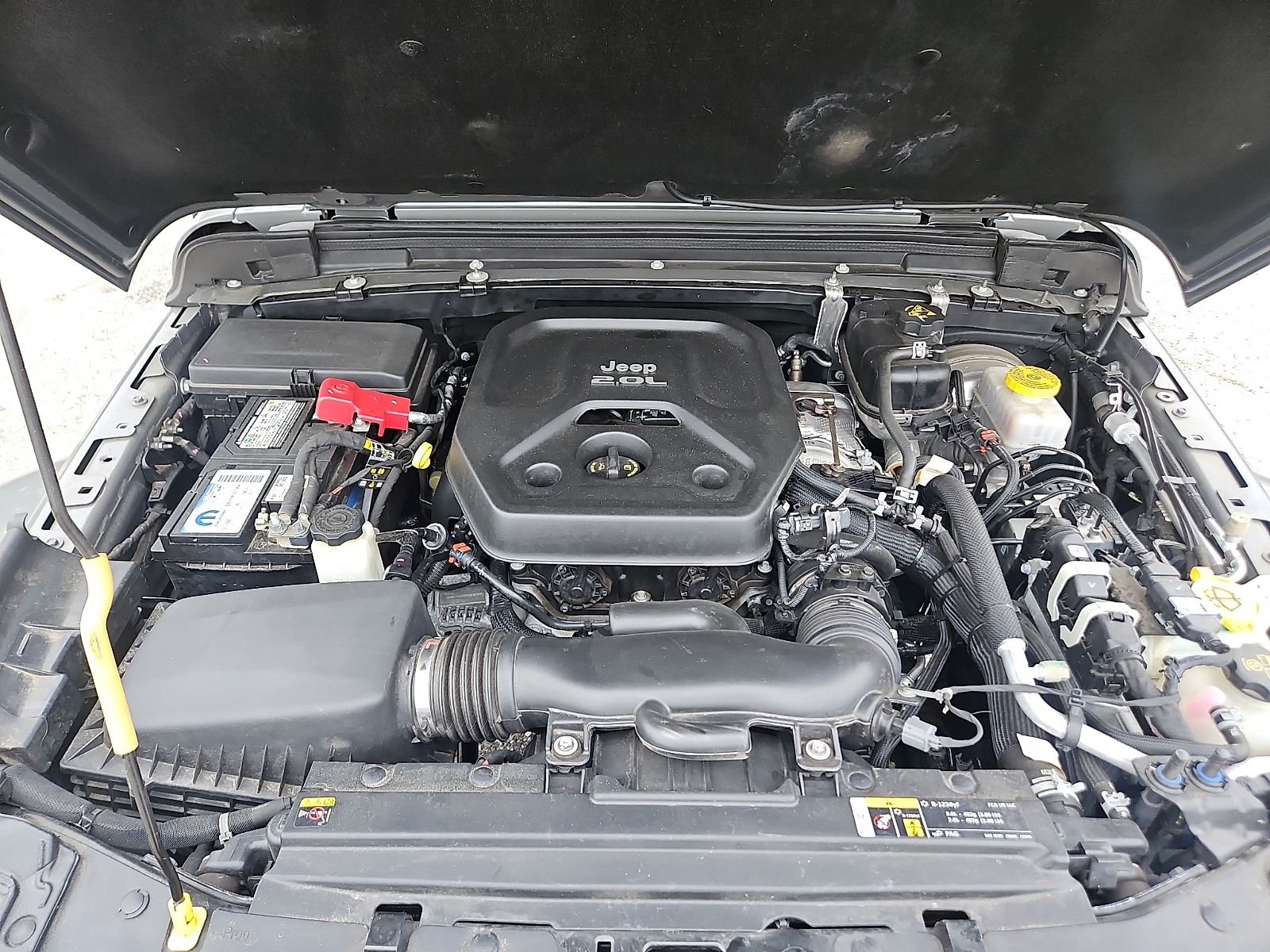 Used 2021 Jeep Wrangler SUV