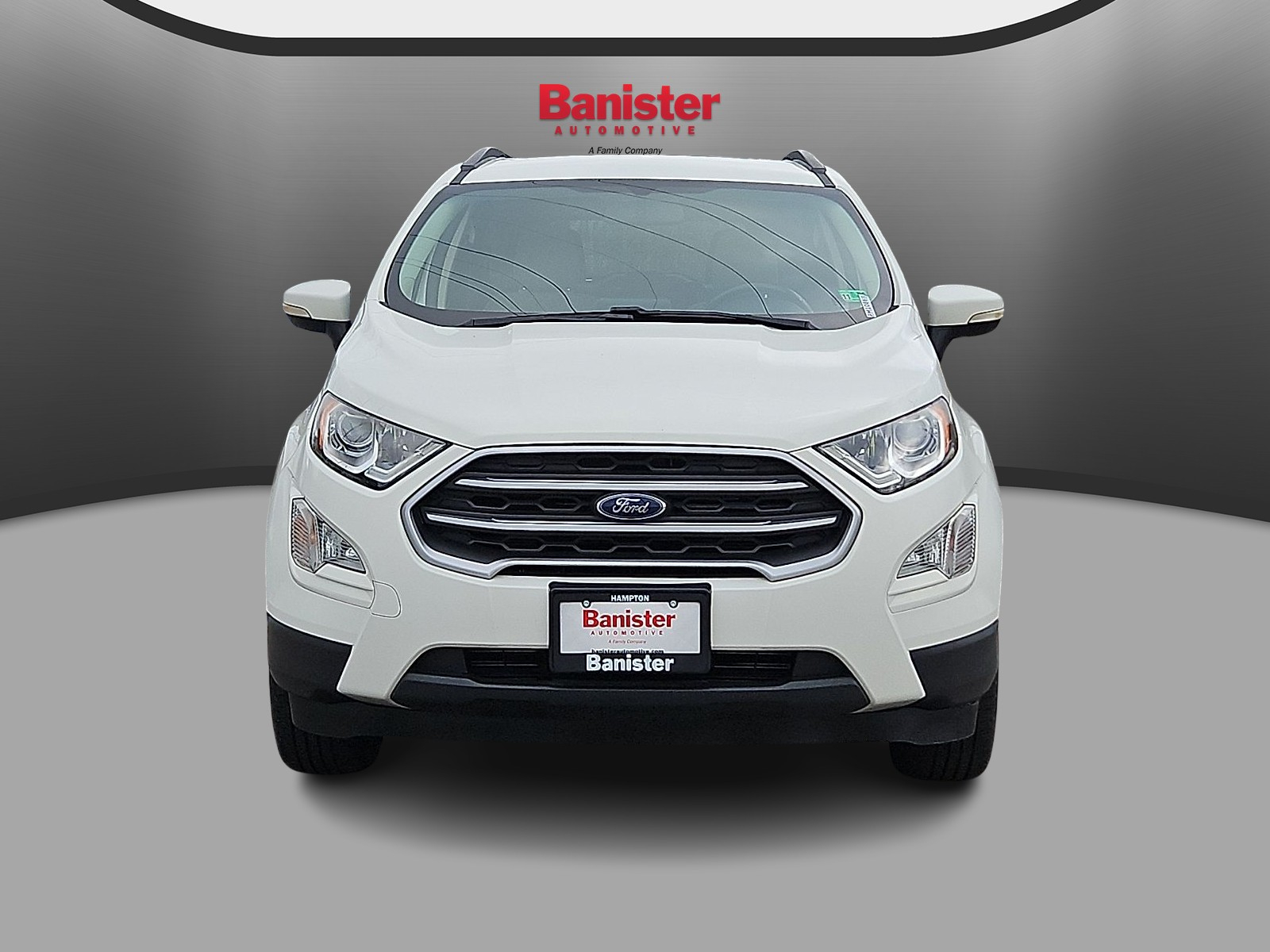 Used 2019 Ford Ecosport SUV