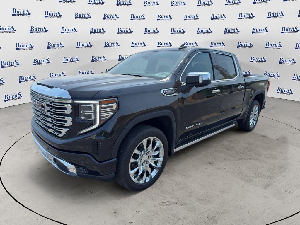 2024 GMC Sierra 1500 Denali - 2