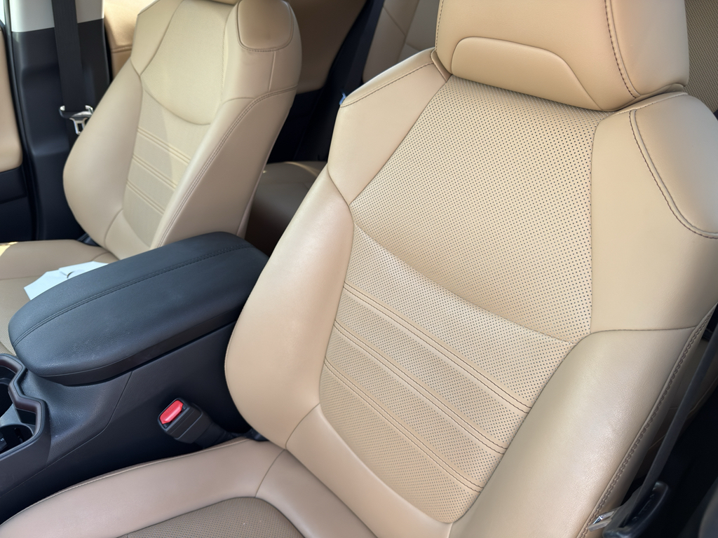 2019 Toyota RAV4 Limited - 11