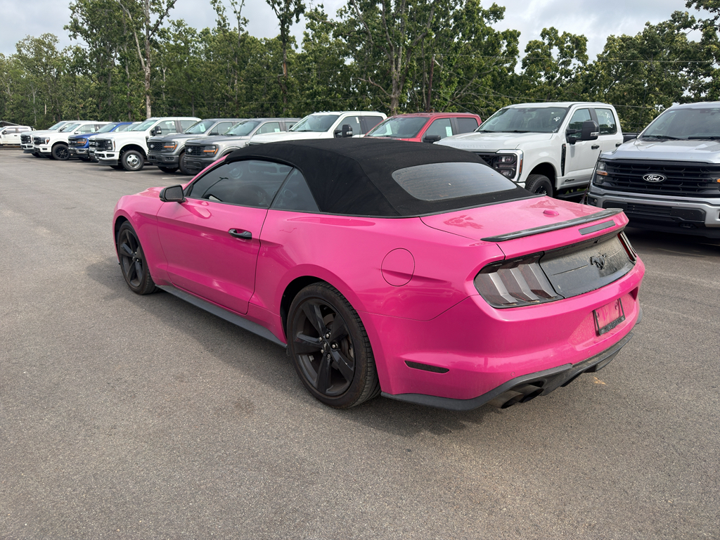 2021 Ford Mustang EcoBoost Premium photo 2