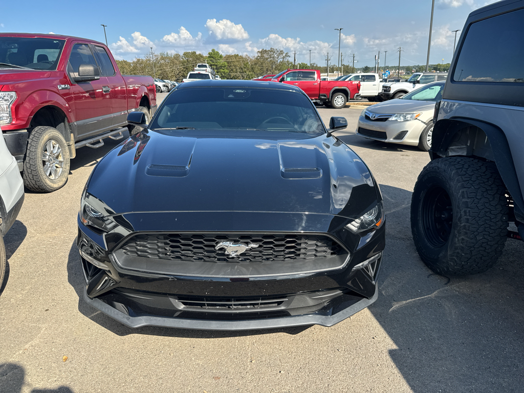 2023 Ford Mustang EcoBoost photo 2