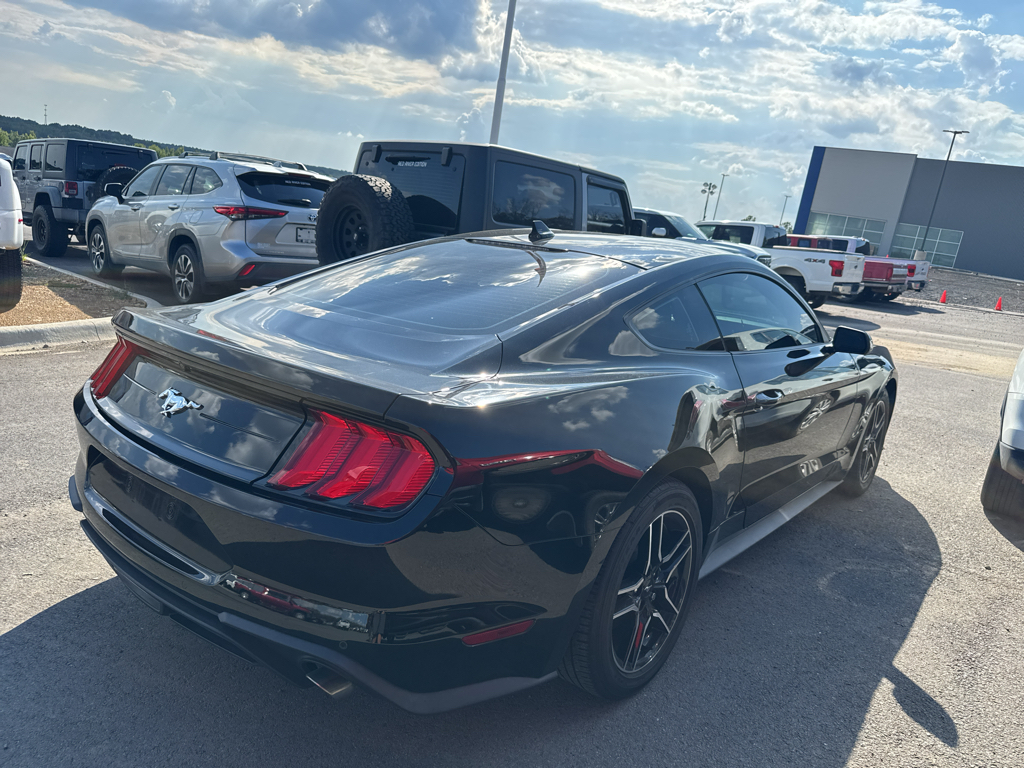 2023 Ford Mustang EcoBoost photo 5