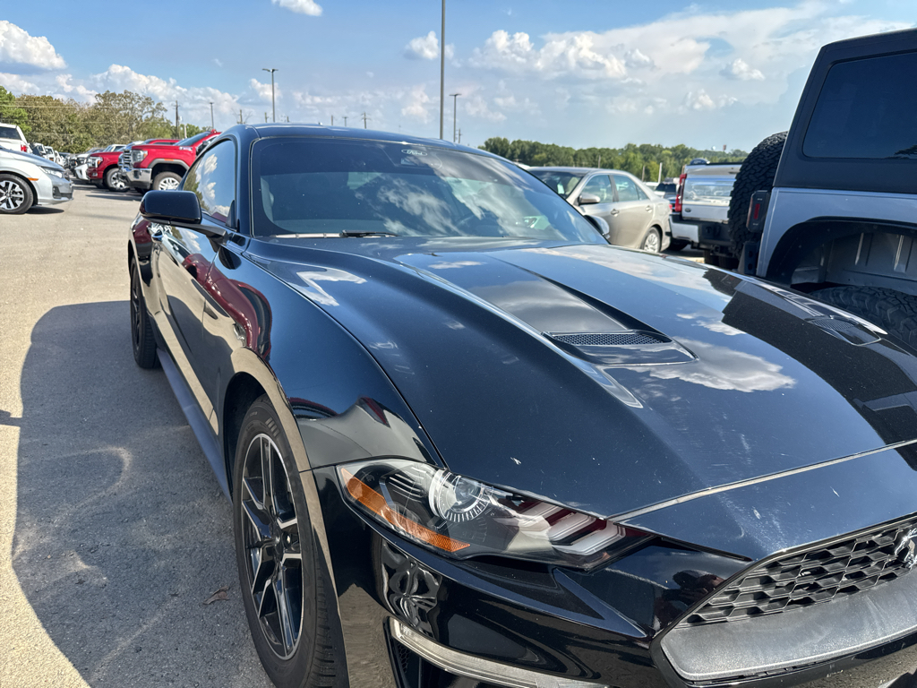 2023 Ford Mustang EcoBoost photo 4