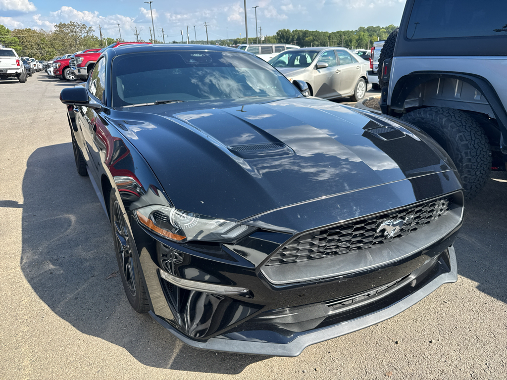 2023 Ford Mustang EcoBoost photo 3