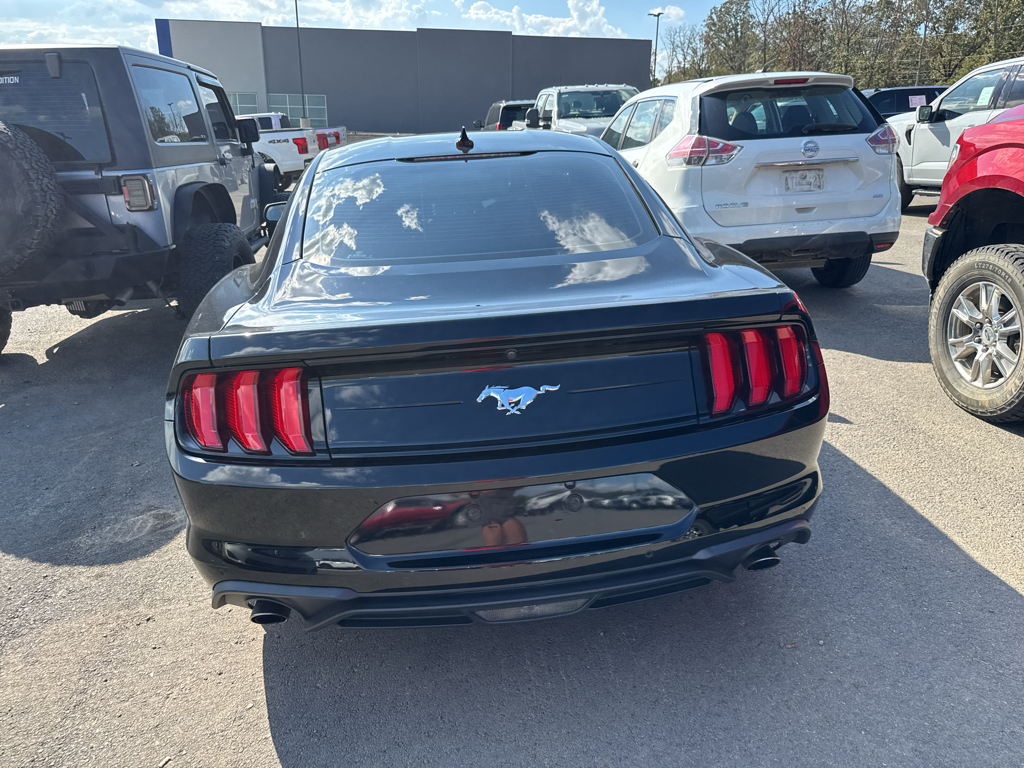 2023 Ford Mustang EcoBoost photo 6