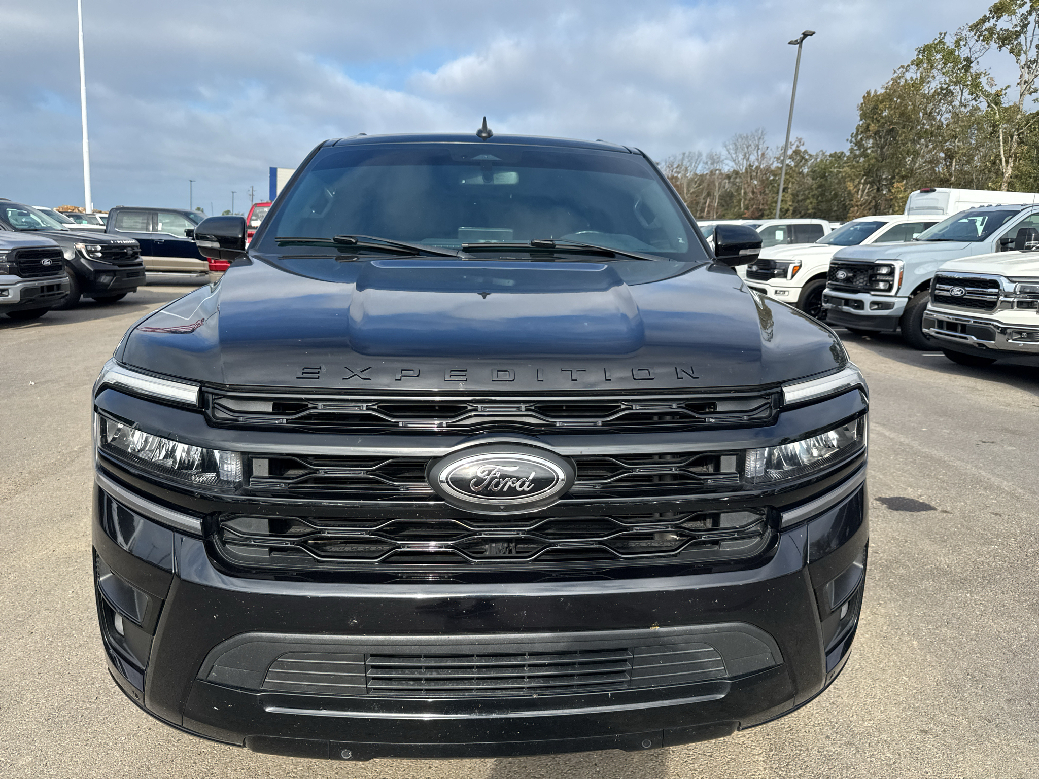 2022 Ford Expedition Limited photo 2