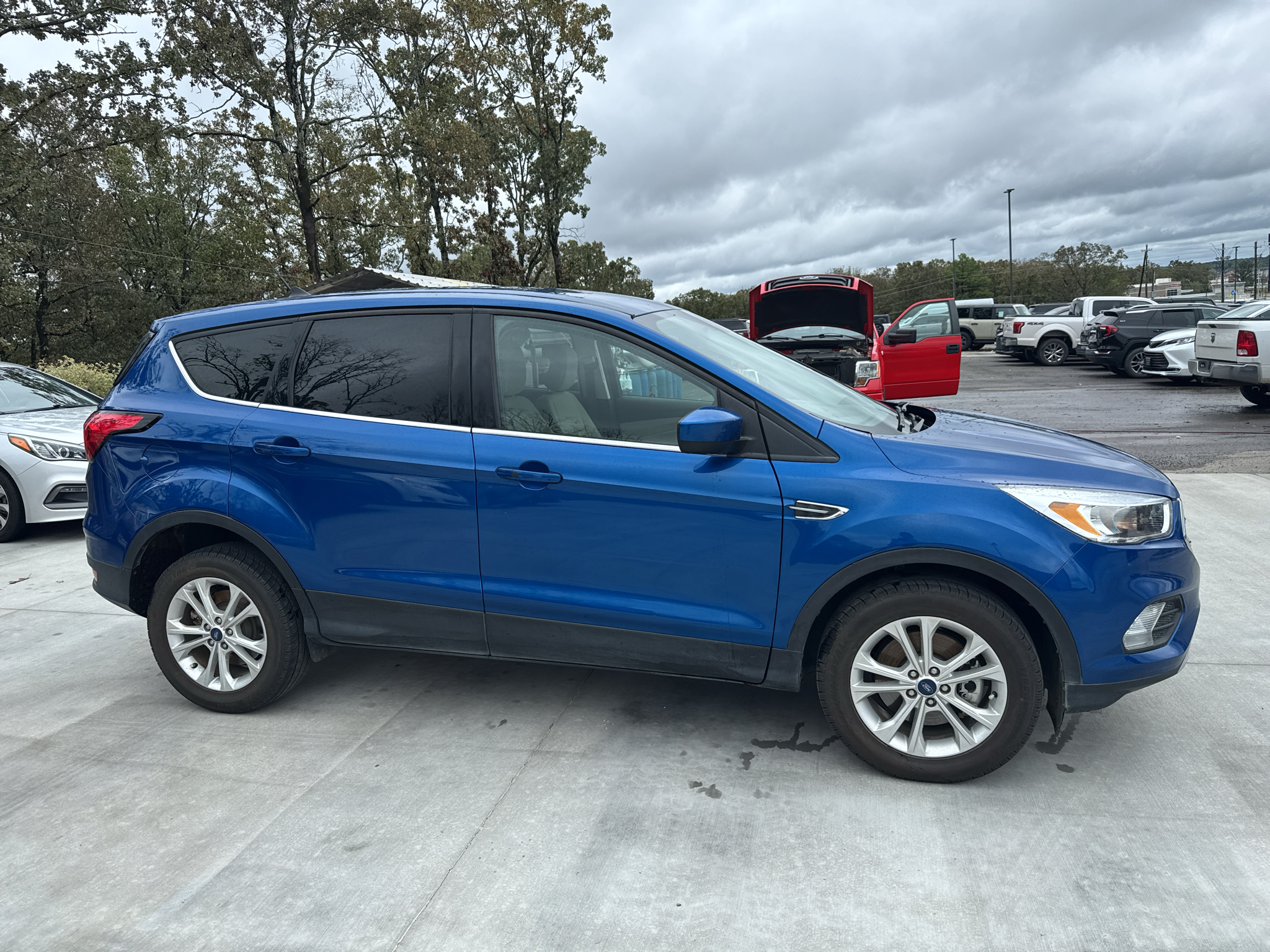 2019 Ford Escape SE photo 4