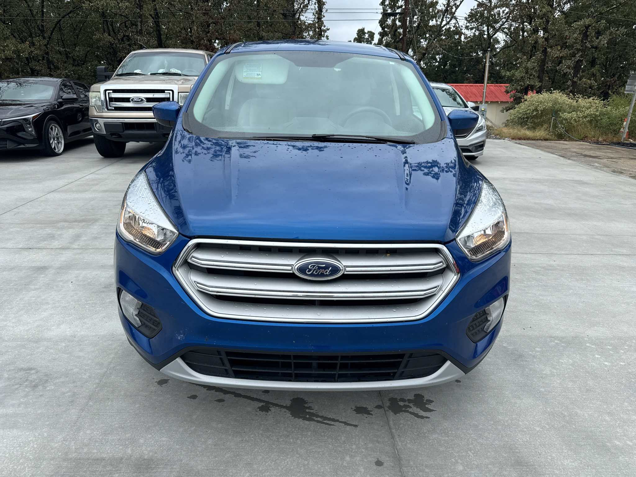2019 Ford Escape SE photo 2