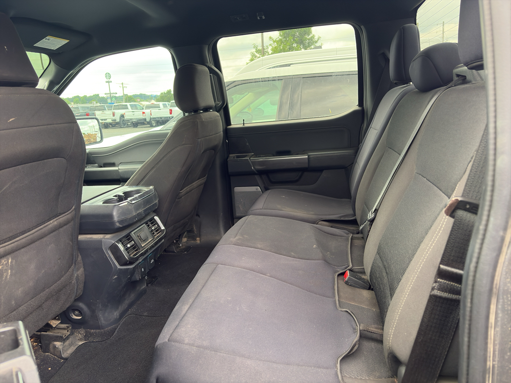 2023 Ford F-150 representative vehicle photo