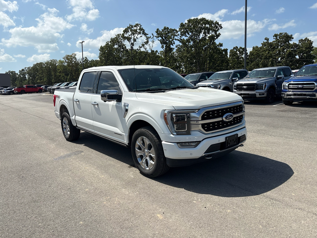 2022 Ford F-150 Platinum photo 4