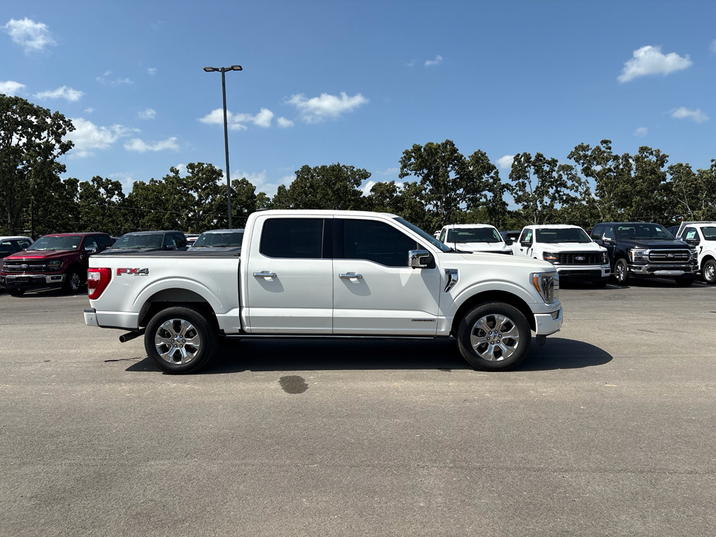 2022 Ford F-150 Platinum photo 5