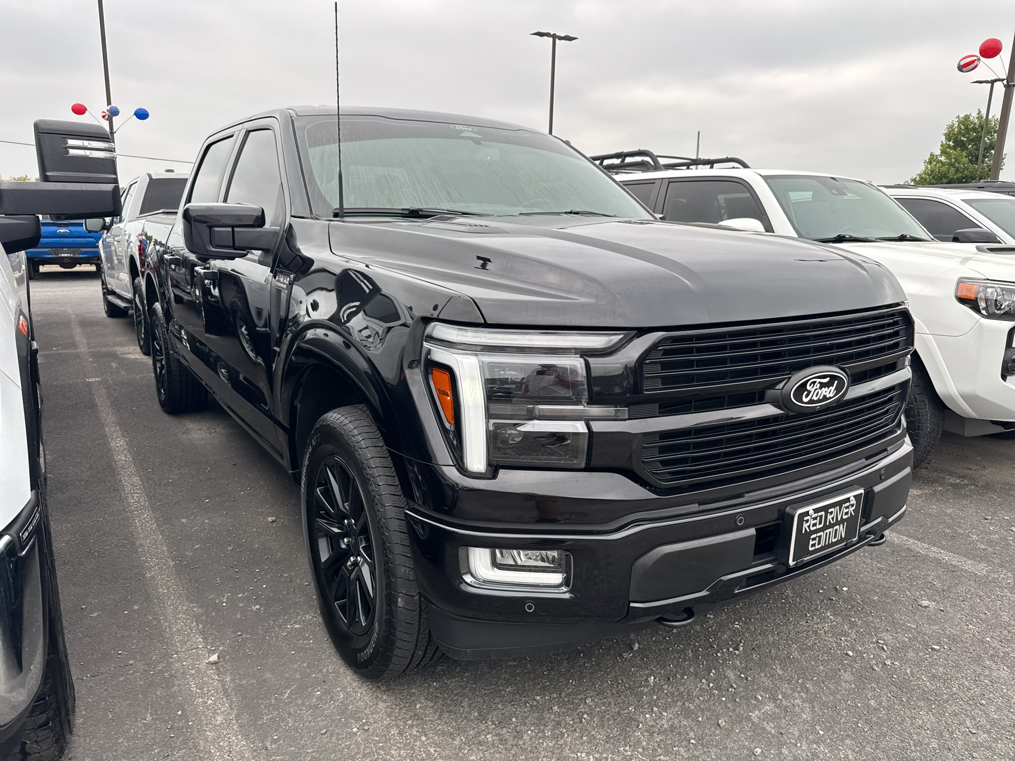 2025 Ford F-150 Platinum photo 3