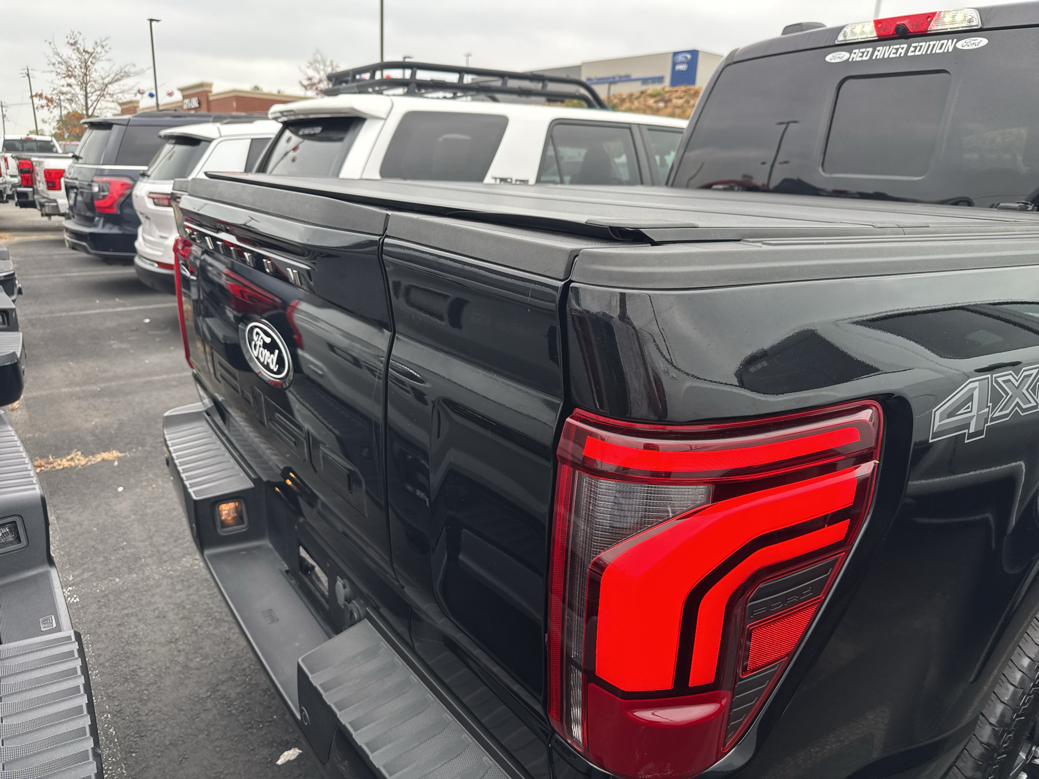 2025 Ford F-150 Platinum photo 5