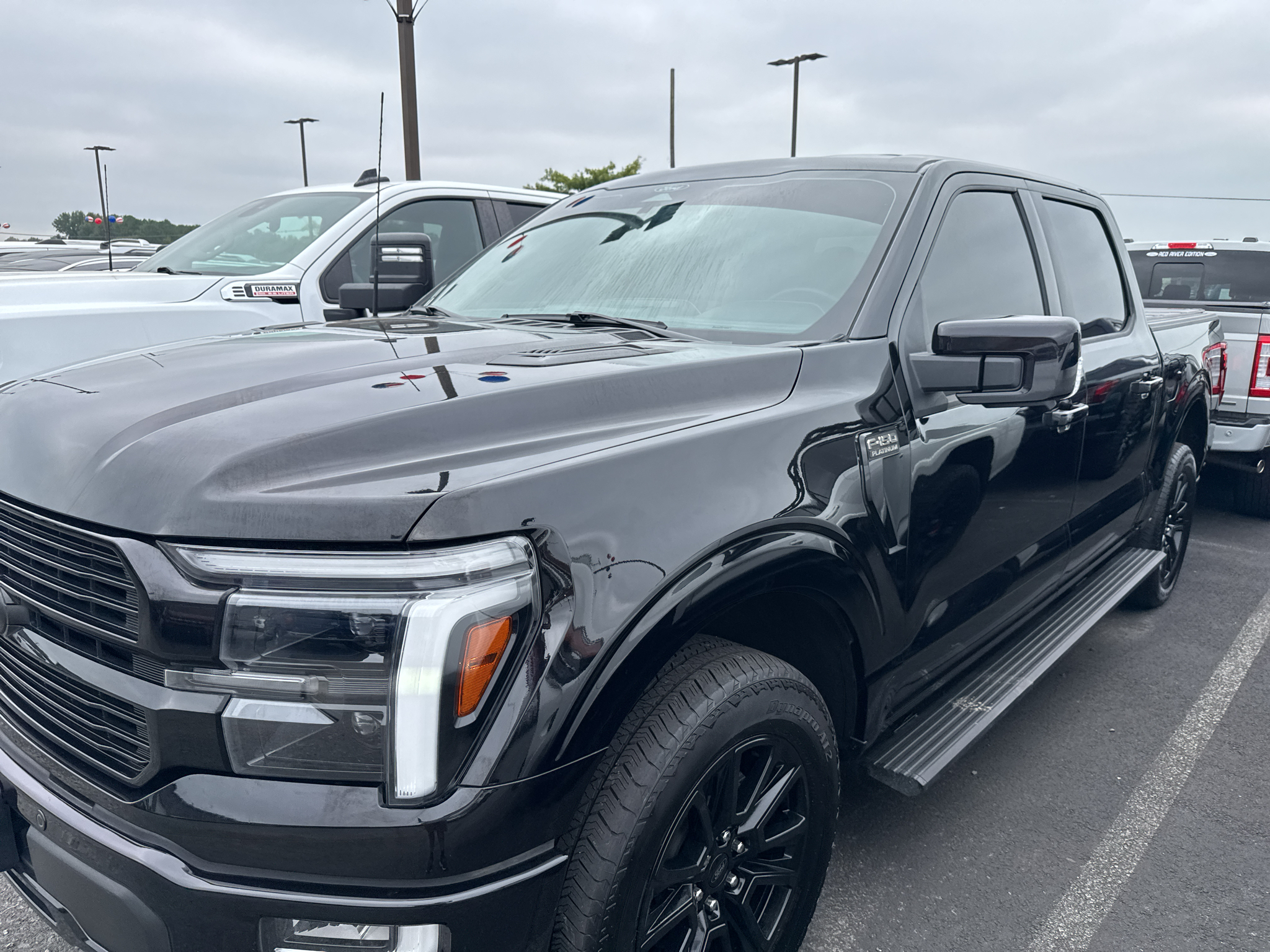 2025 Ford F-150 Platinum photo 6