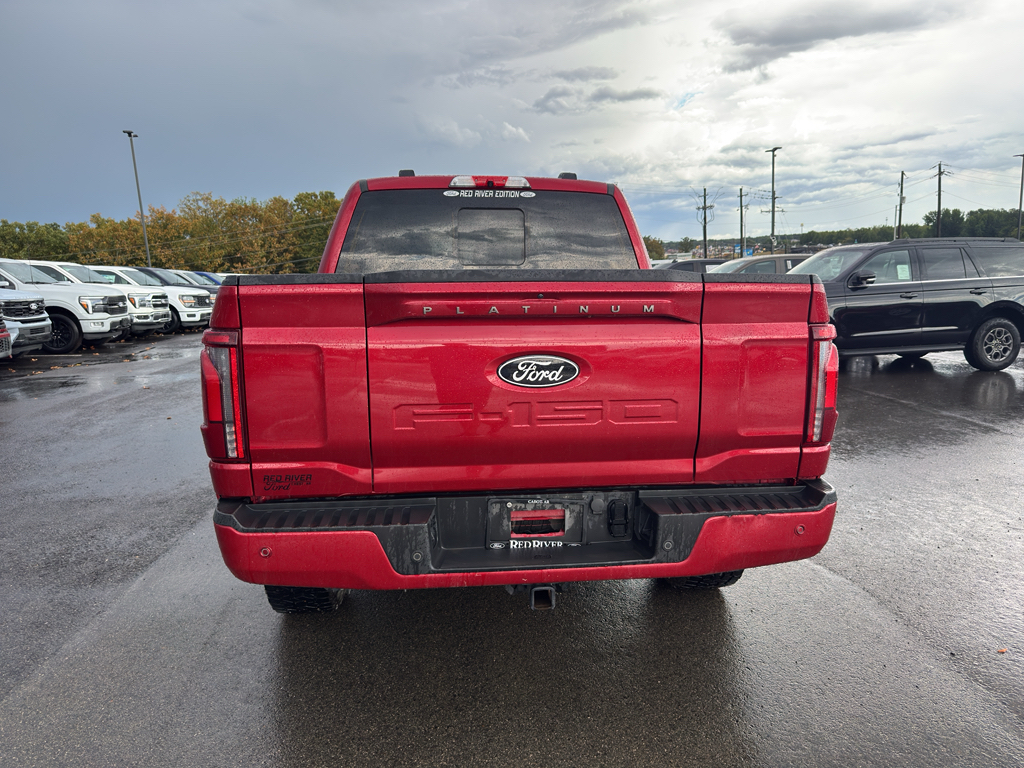 2024 Ford F-150 Platinum photo 6