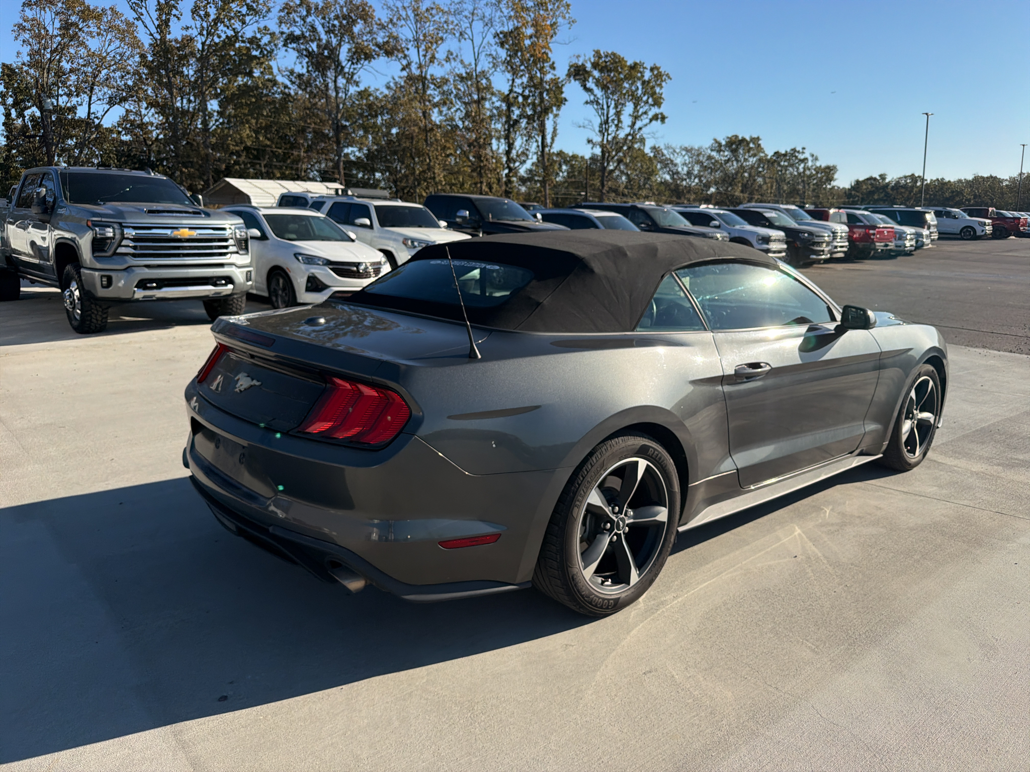 2019 Ford Mustang EcoBoost photo 5