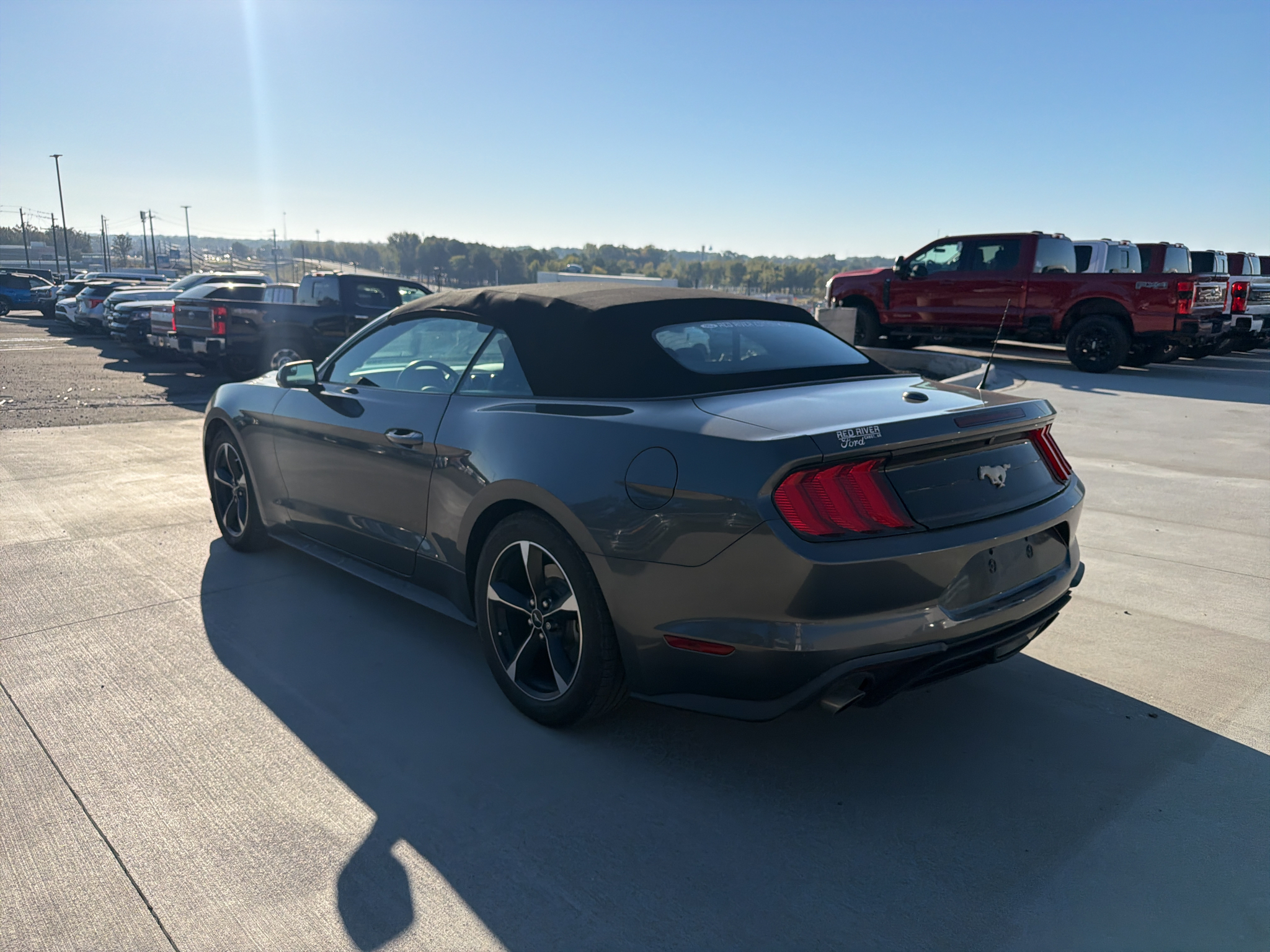 2019 Ford Mustang EcoBoost photo 3
