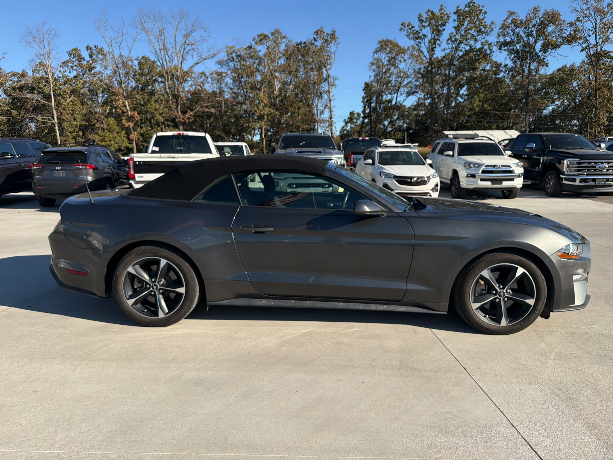 2019 Ford Mustang EcoBoost photo 6