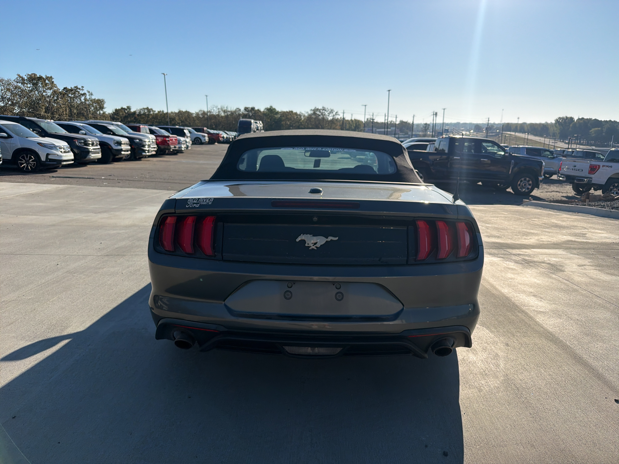 2019 Ford Mustang EcoBoost photo 4