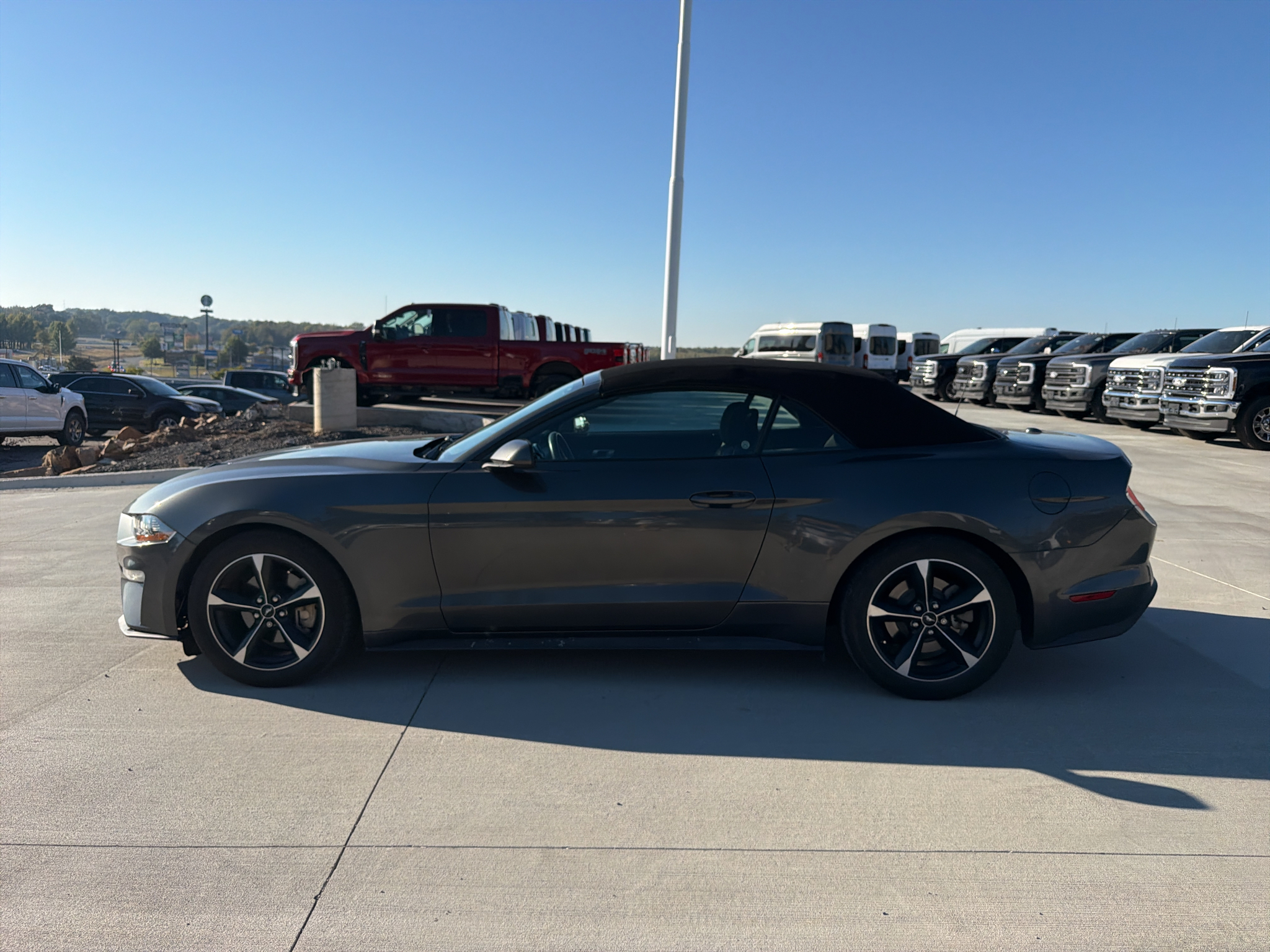 2019 Ford Mustang EcoBoost photo 2