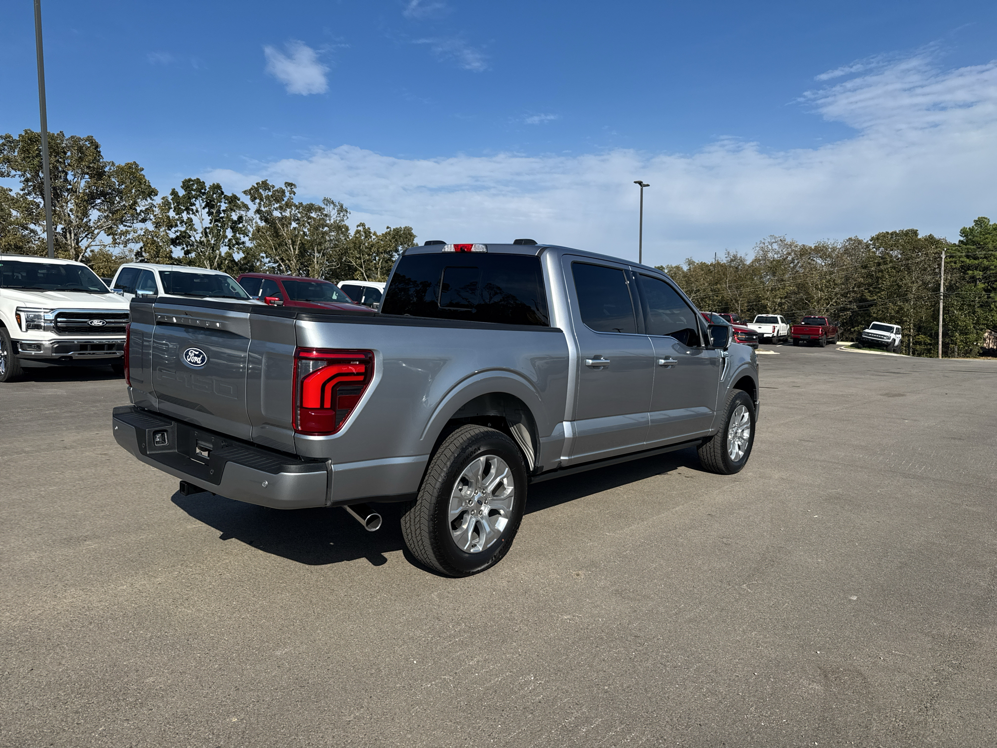 2026 Ford F-150 Platinum photo 5