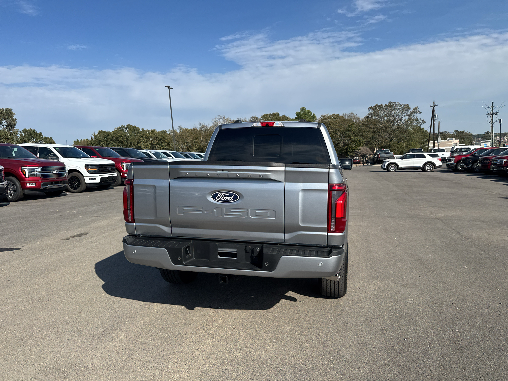 2026 Ford F-150 Platinum photo 6