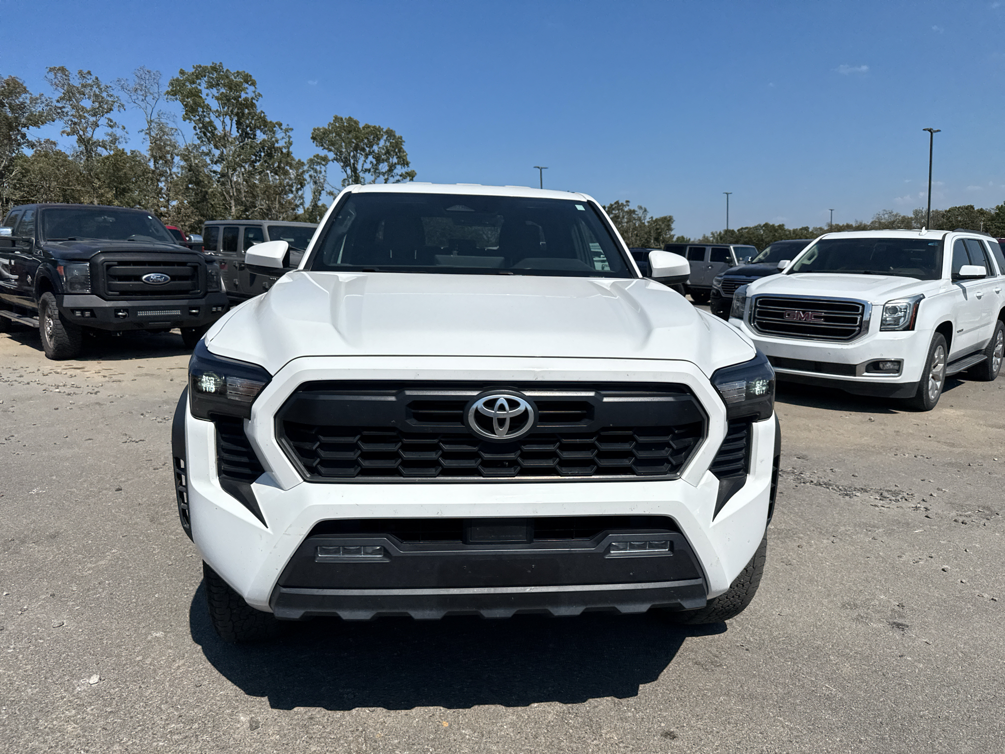 2024 Toyota Tacoma TRD Off Road photo 2
