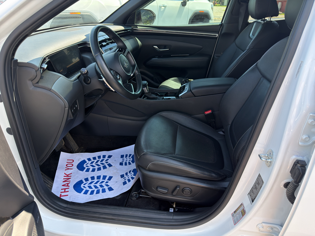 2023 Hyundai Santa Cruz representative vehicle photo