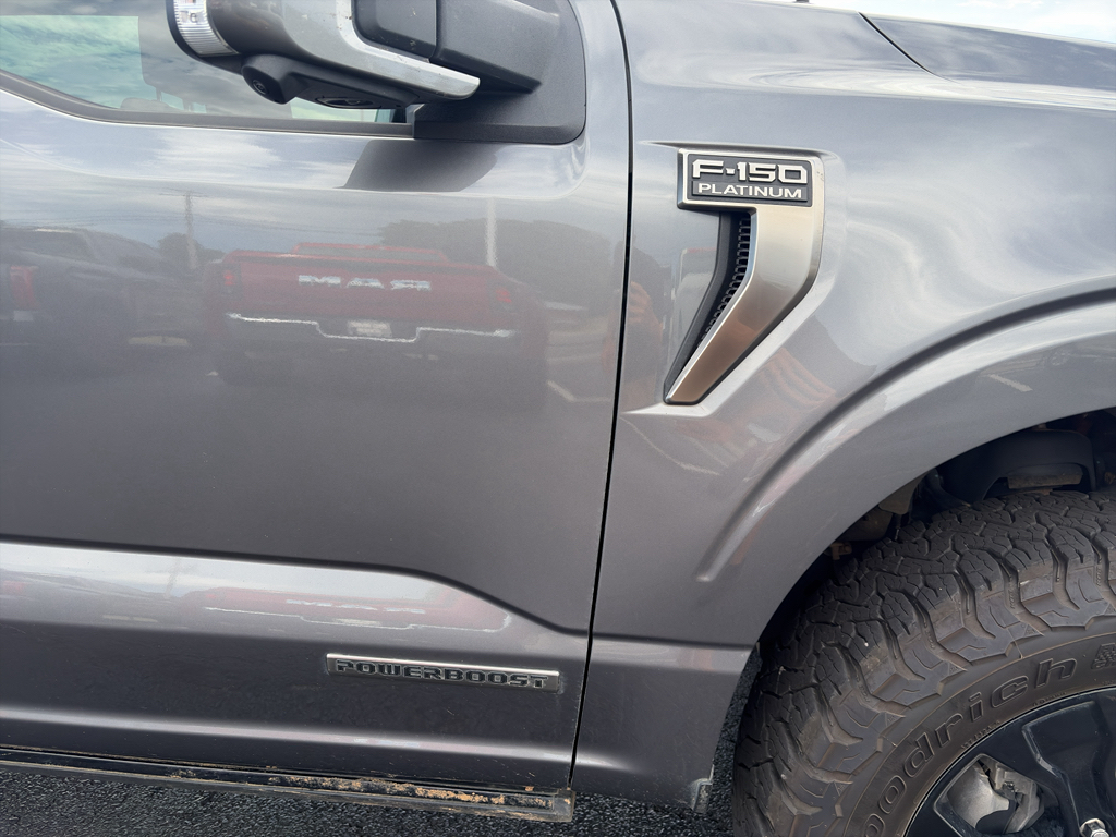 2022 Ford F-150 Platinum photo 3
