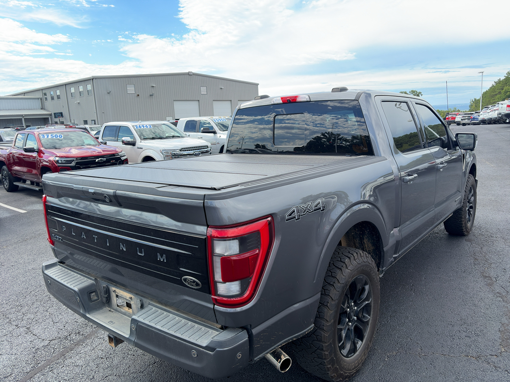 2022 Ford F-150 Platinum photo 6